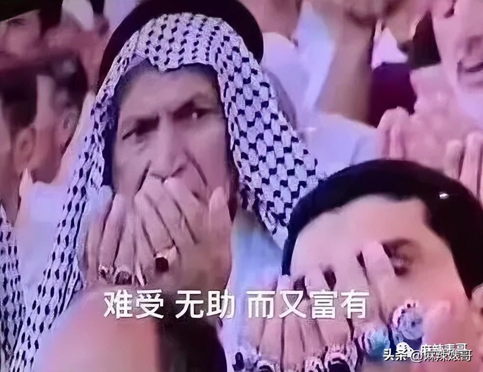 金晨模仿卡塔尔小王子晒照,金晨模仿卡塔尔王子被起诉了吗