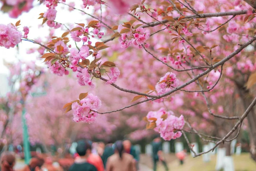 港剧那些年追过的剧,好港