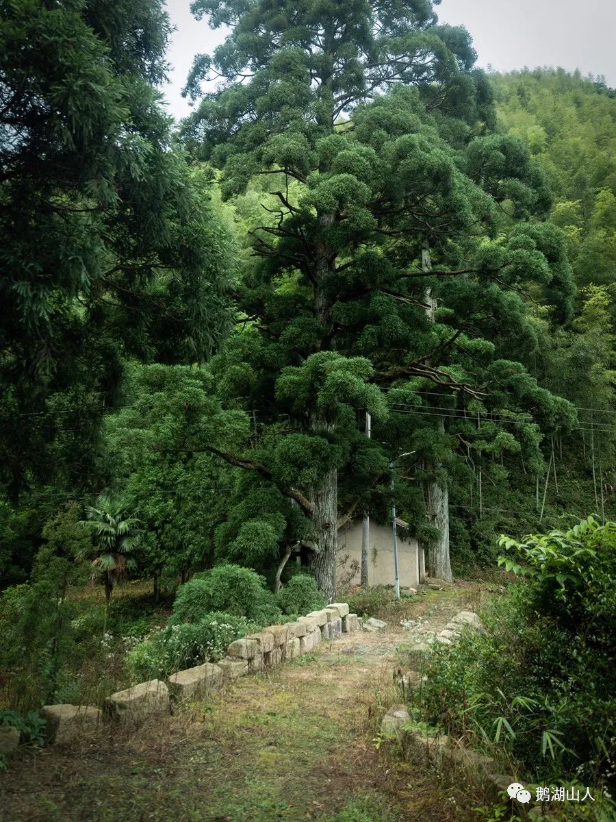 婺源美景之篁岭,婺源篁岭世外桃源