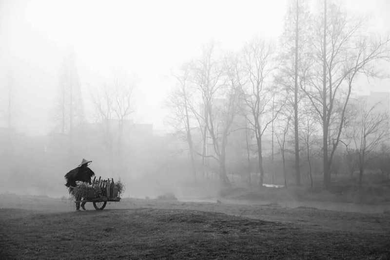 春色满园风景摄影,婺源摄影写真
