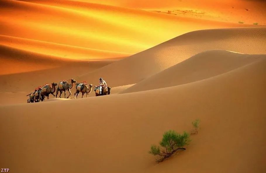 最美中国年摄影作品,大美中国全国摄影大赛