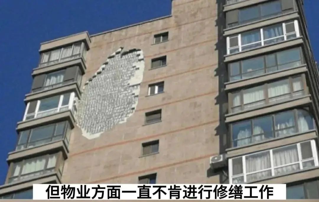 墙皮脱落砸死人全幢楼业主赔偿,住宅楼墙皮脱落砸伤人谁赔偿