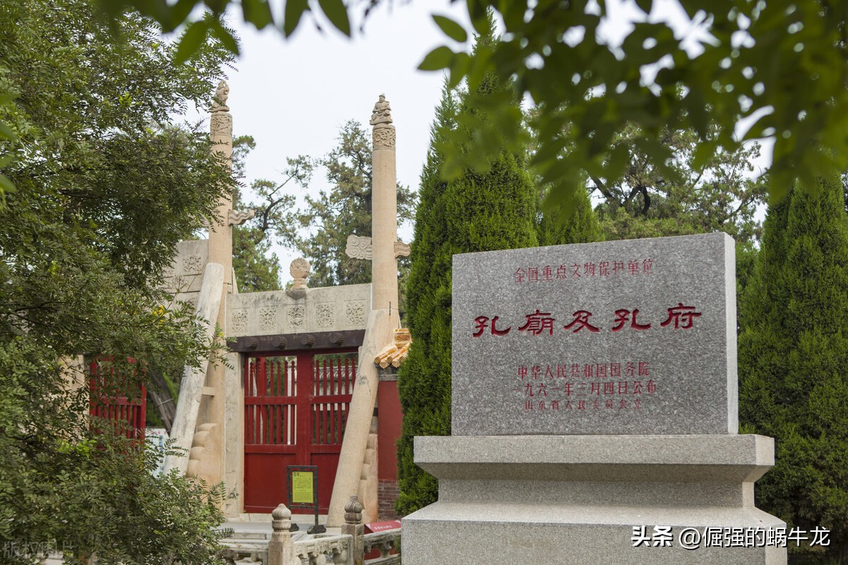 为什么孔林没有乌鸦没有蛇,孔林墓为什么没有乌鸦