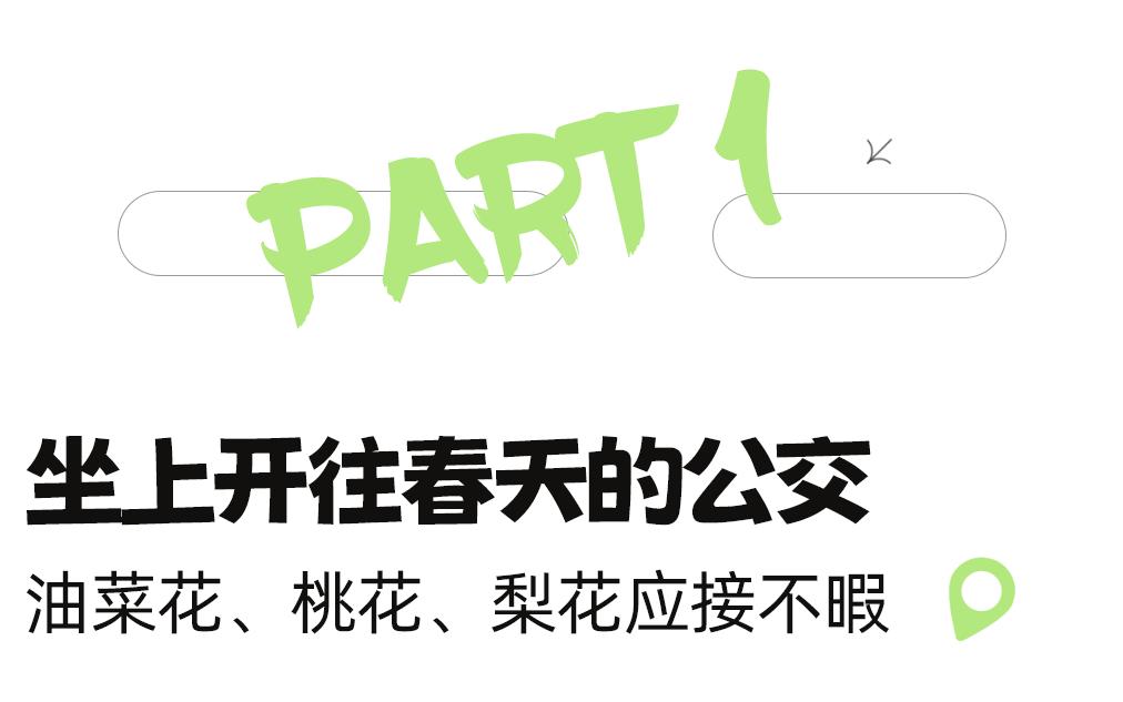 成都市区现实版桃花源记在哪里,成都公交可达的古镇