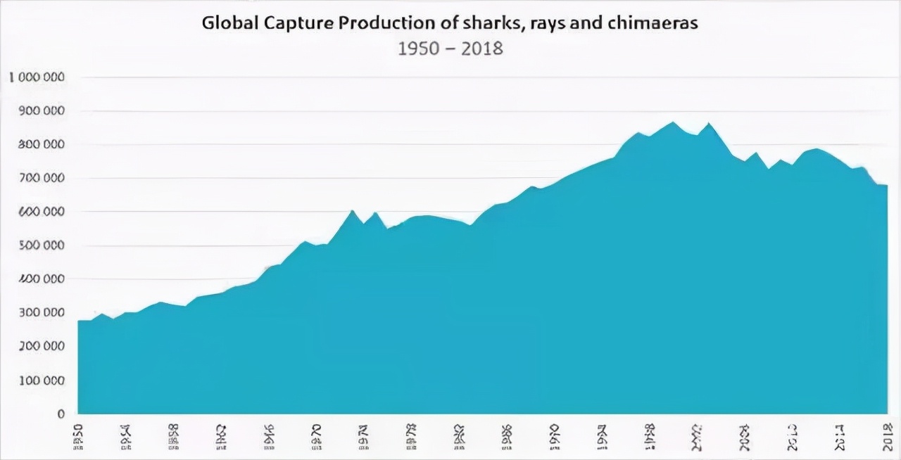 濮氭槑鍚冮波楸煎師瑙嗛,濮氭槑濡備綍淇濇姢椴ㄩ奔