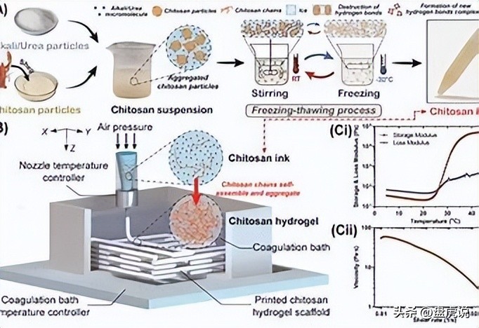 壳聚糖吸附铜离子,壳聚糖水凝胶吸附重金属