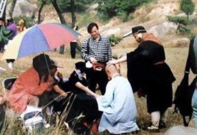 十部必看抗日电视剧雪豹,中国口碑最高的10部抗战剧雪豹