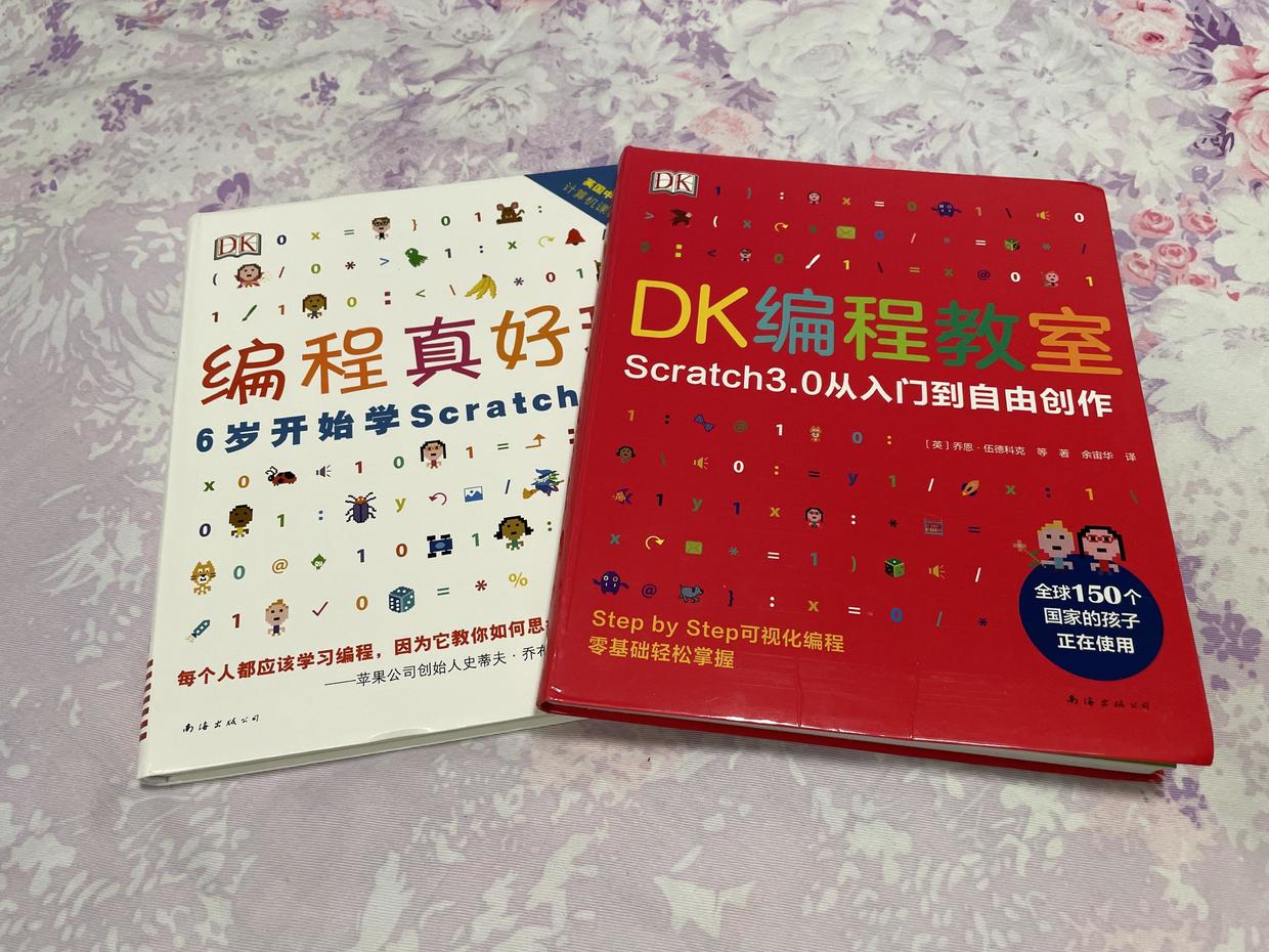 5岁儿童编程入门先学什么 (13岁孩子学习编程从哪里入门)