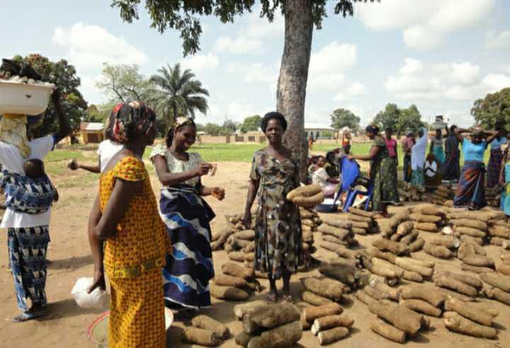 木薯跟红薯粉有区别吗,木薯粉和红薯粉外观的区别