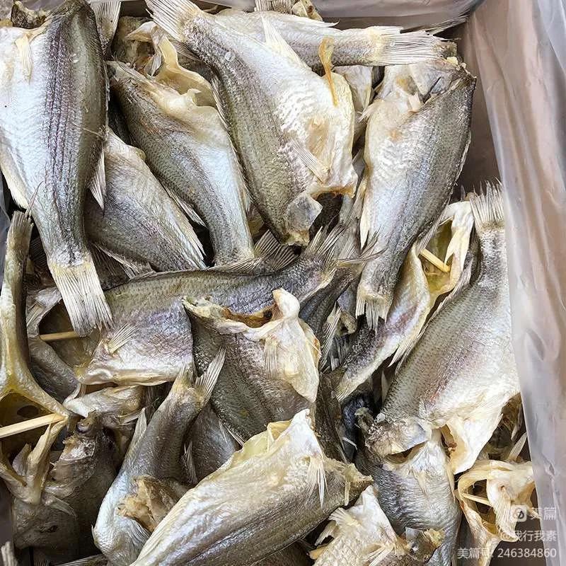 记忆中的农村老家,记忆中的老家情怀