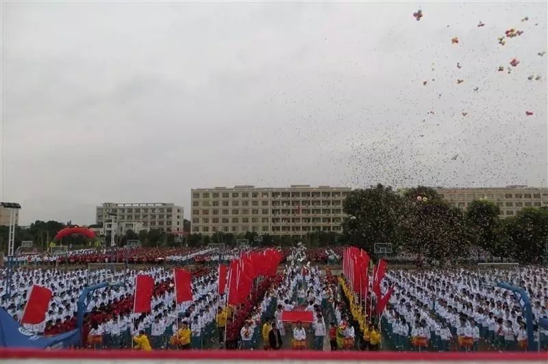 雷州市撤县设市吗,撤县设区周年