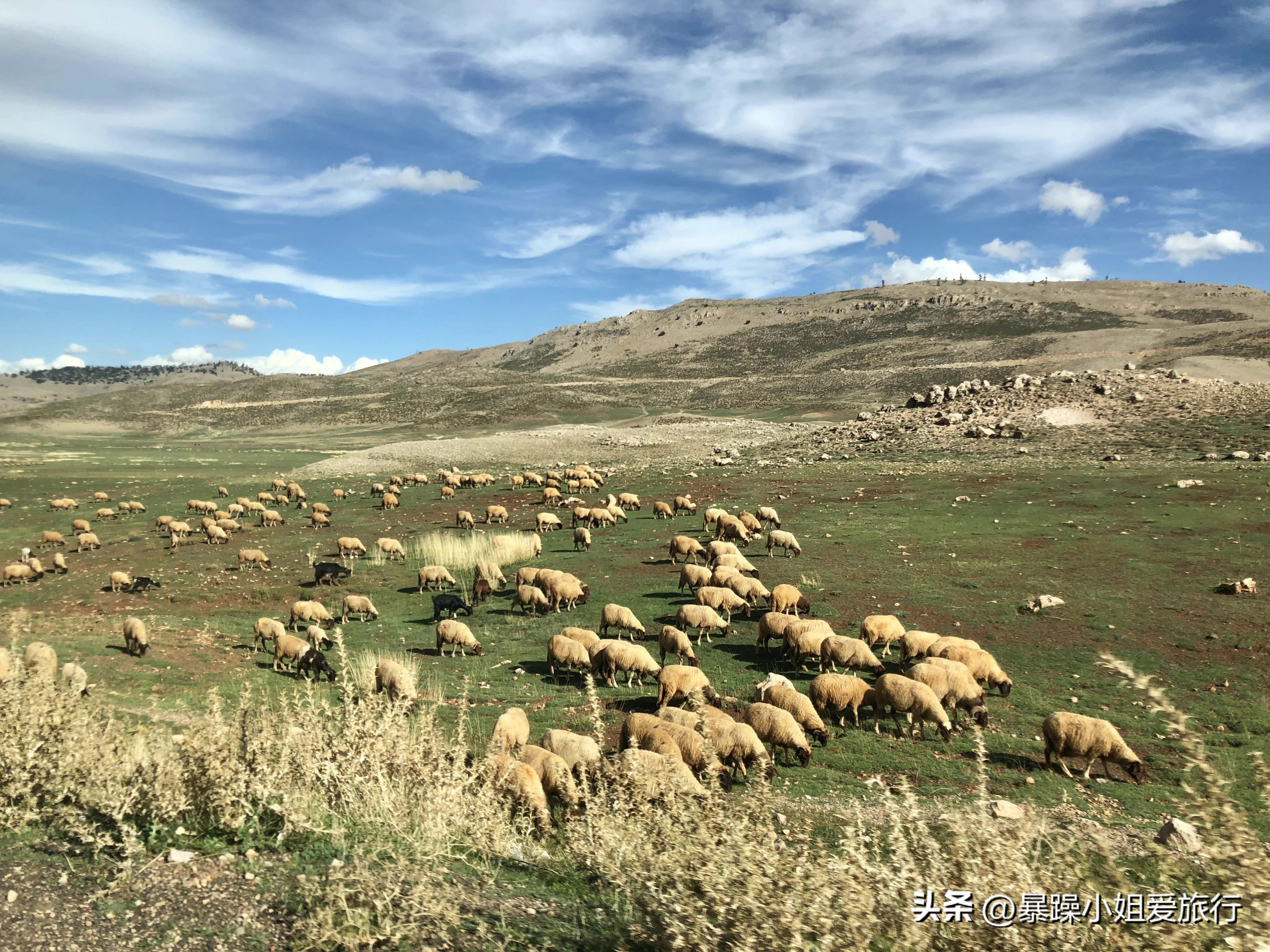 摩洛哥游记之古城暂逗留,摩洛哥自由行菲斯