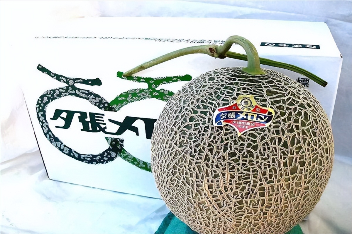 夕张王甜瓜多少钱一斤日本超市,夕张王甜瓜价格一个多少钱