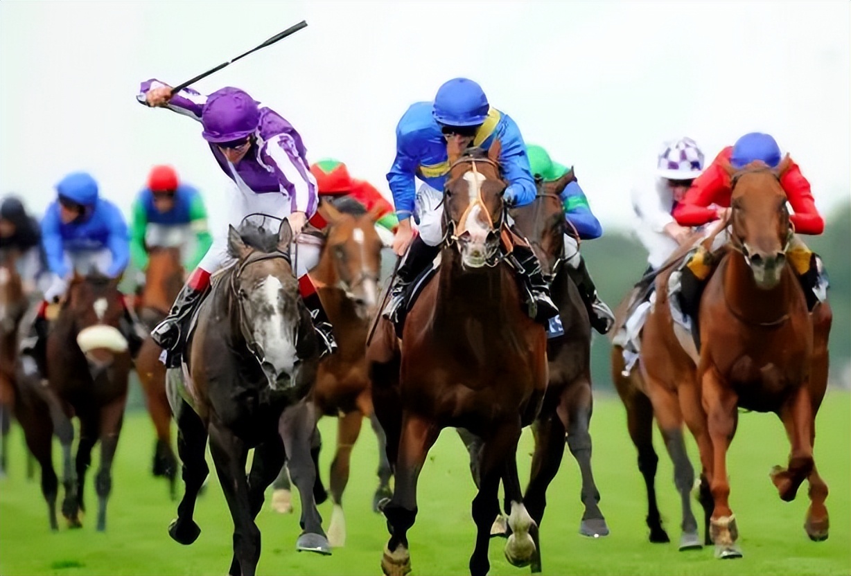 澳大利亚赌博现状,十大赌博国家