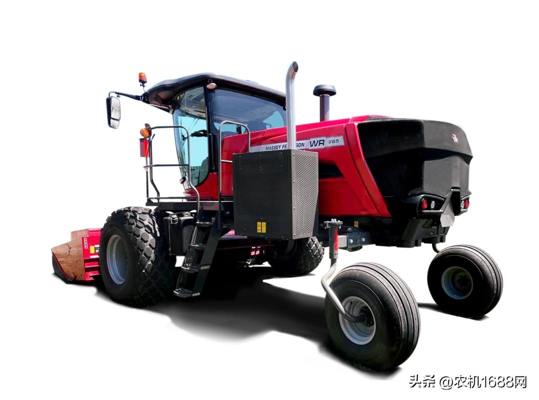 麦向未来,麦麦向未来