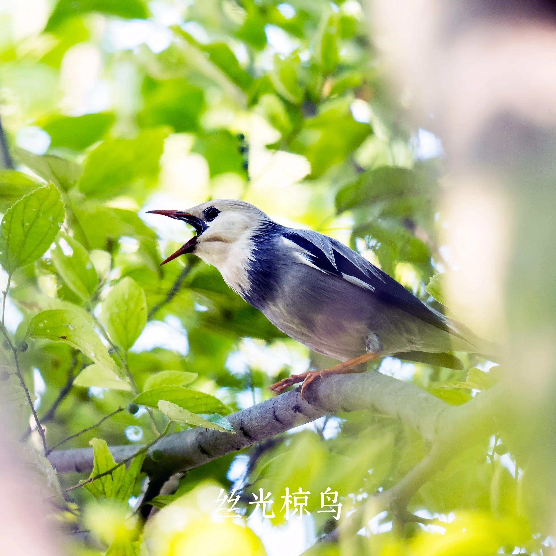 上海国际汽车城安亭,上海市嘉定区安亭国际汽车城