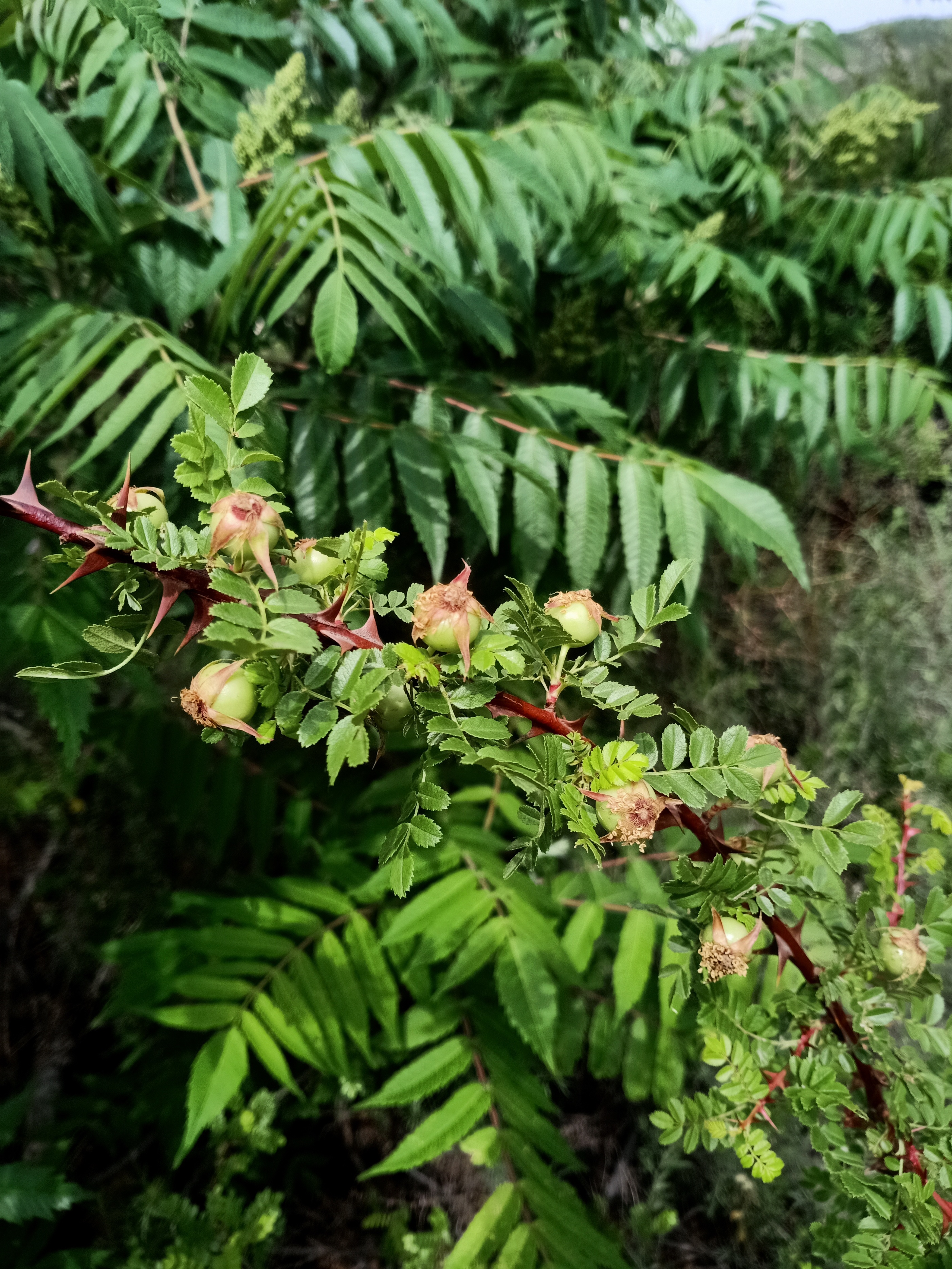 系统，规则不复杂，复杂的是人心，执行规则时想得太多