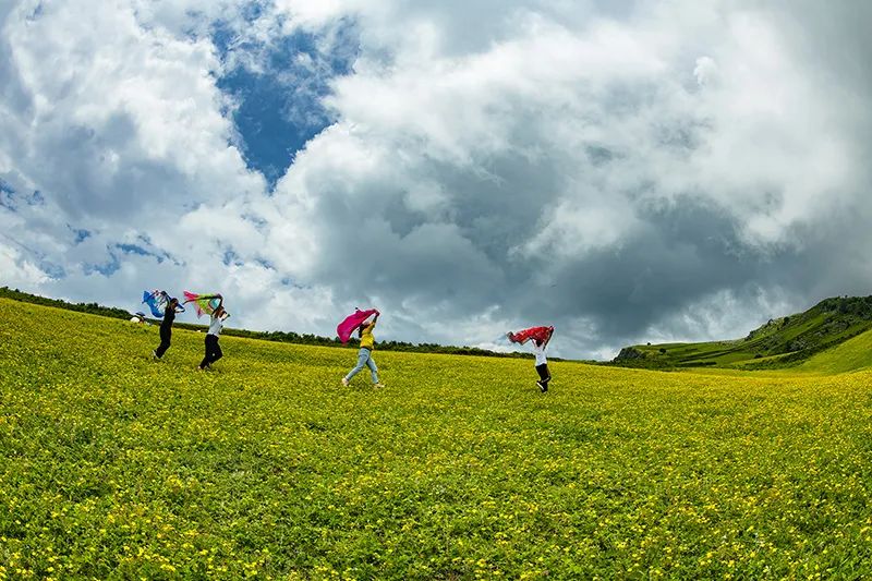 攀枝花领地阳光花城,攀枝花普达阳光康养胜地