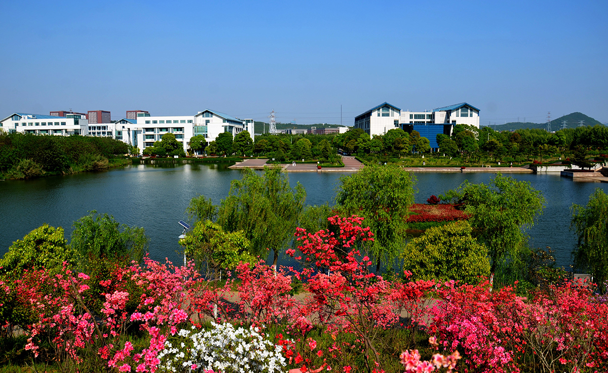 南京工业职业技术学院就业怎么样,南京工业职业技术大学是什么档次