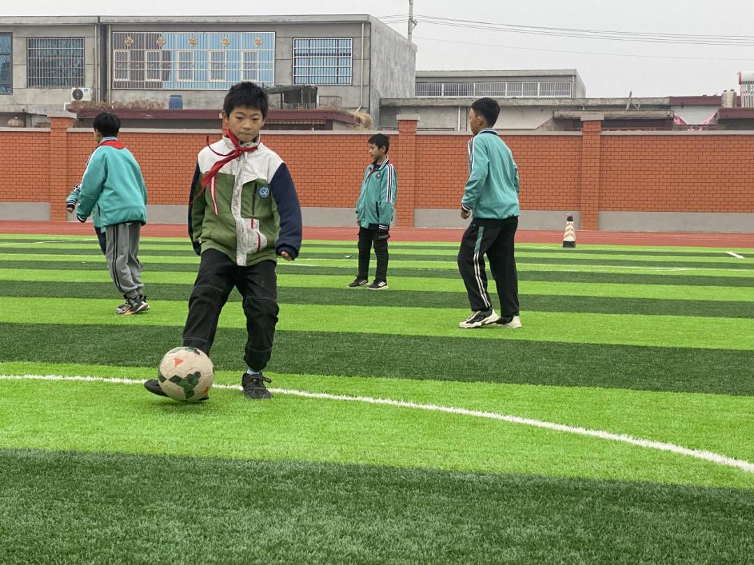 临沂市新桥小学怎么样,临沂新桥小学2022年