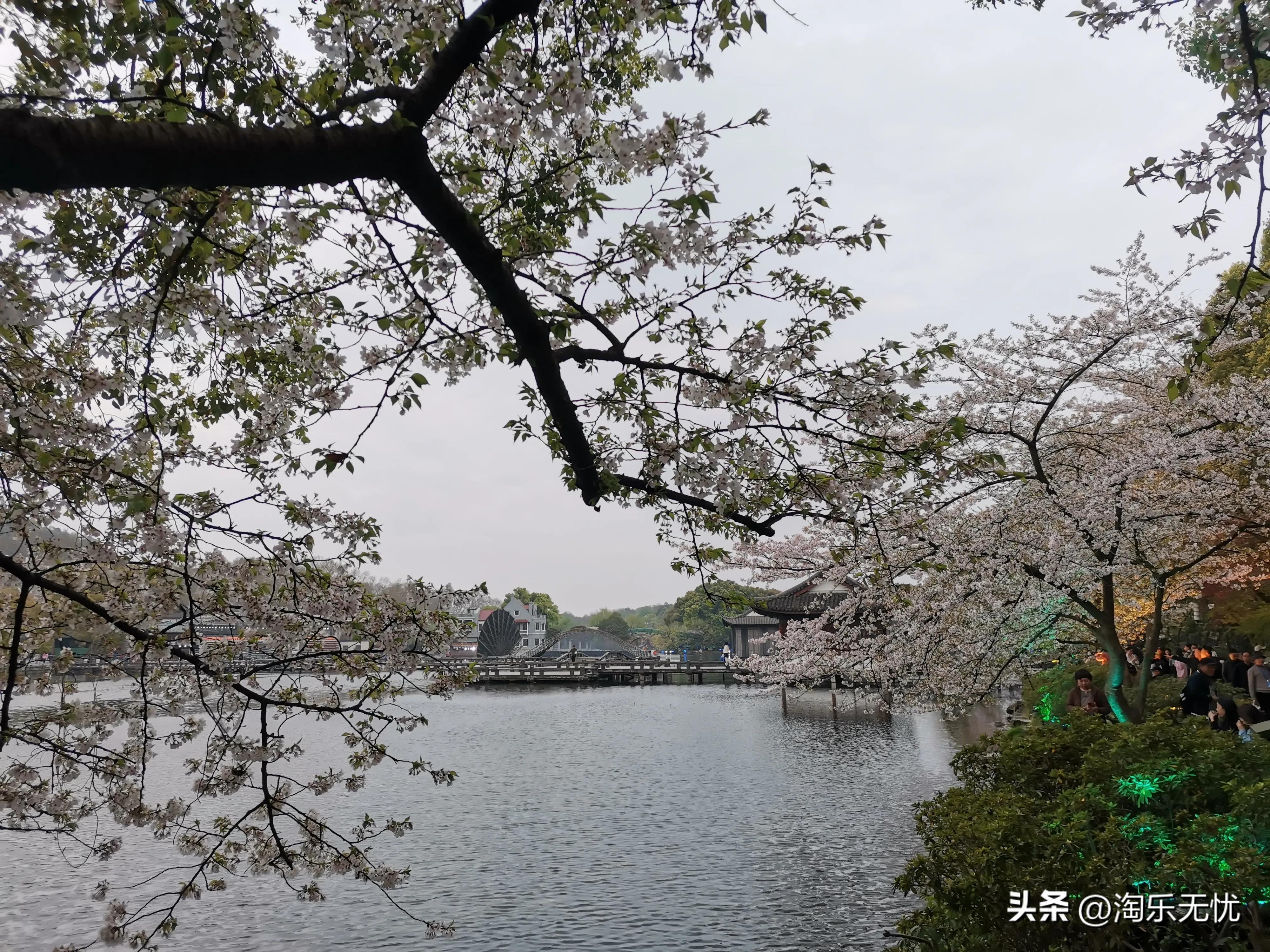 来杭州不要错过紧邻雷峰塔和苏堤的太子湾公园花展！#赏花地图