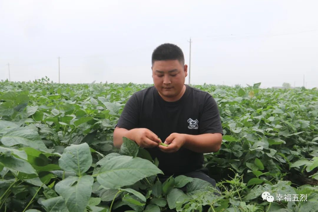 返乡种地的90后新农人,江苏90后新农人