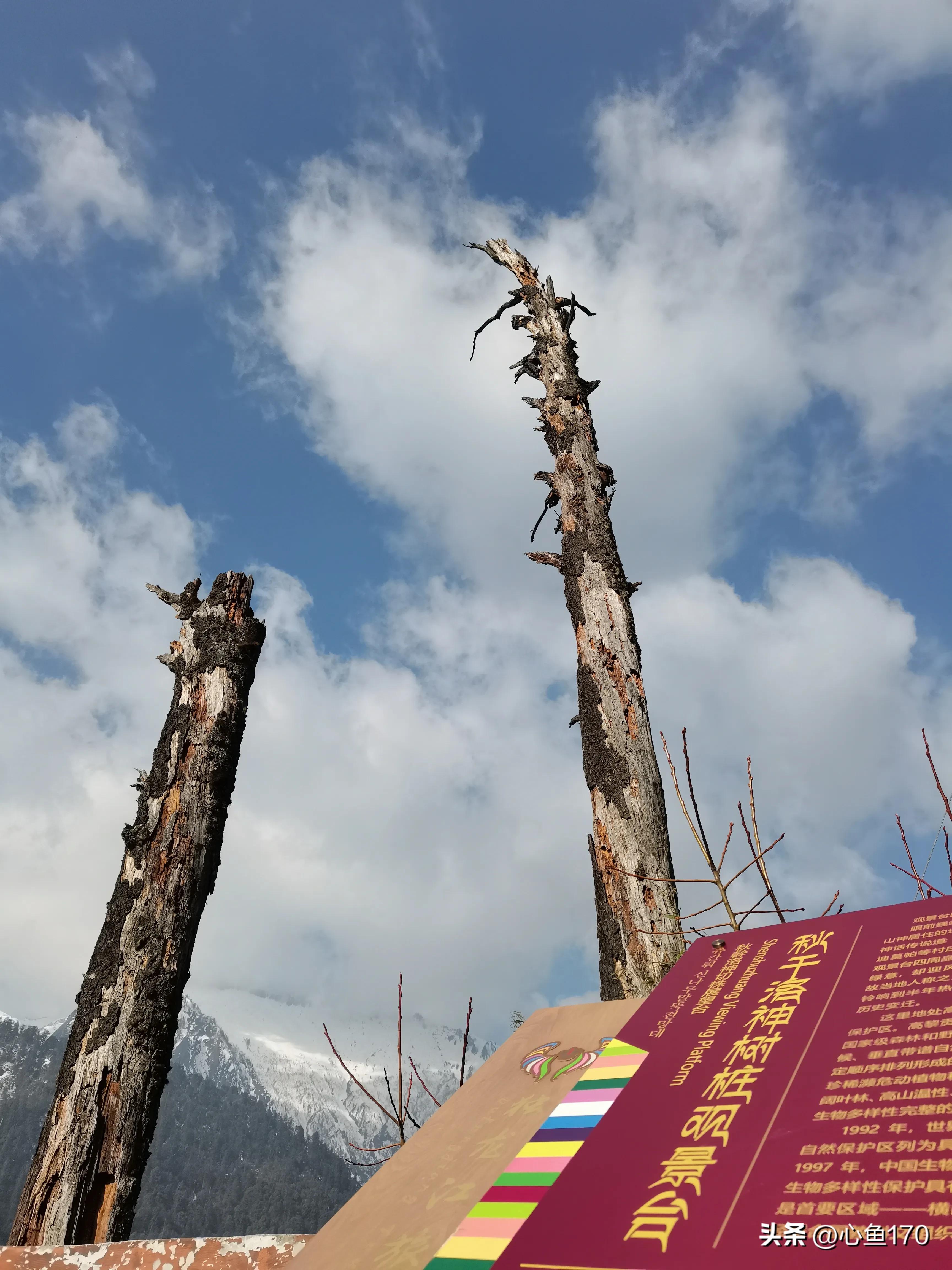 怒江秘境独龙江,怒江独龙江自由行