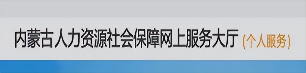 最新版的养老保险在哪里查看,养老保险相关政策在哪查