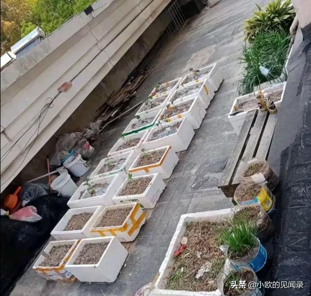 深圳打工500块钱租房子一个月,深圳打工租的2000元的房子