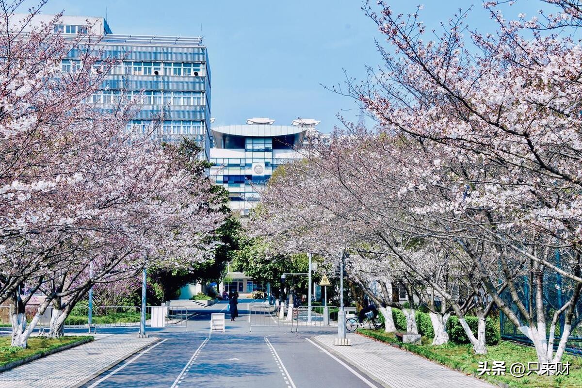 中国最难考的20所大学,中国985最好的20所大学名单排名