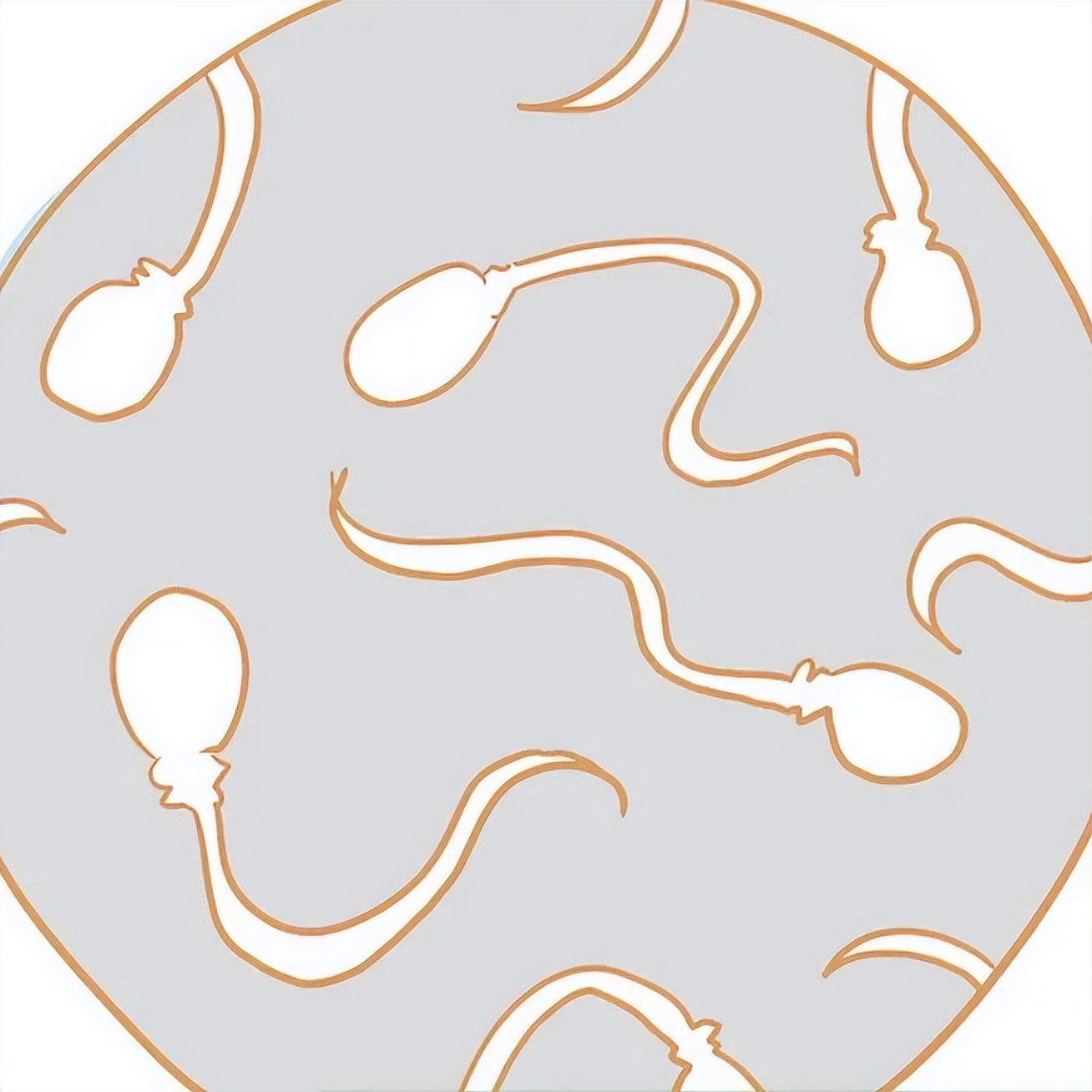 关爱男性健康：如何自我判断精液是否达标