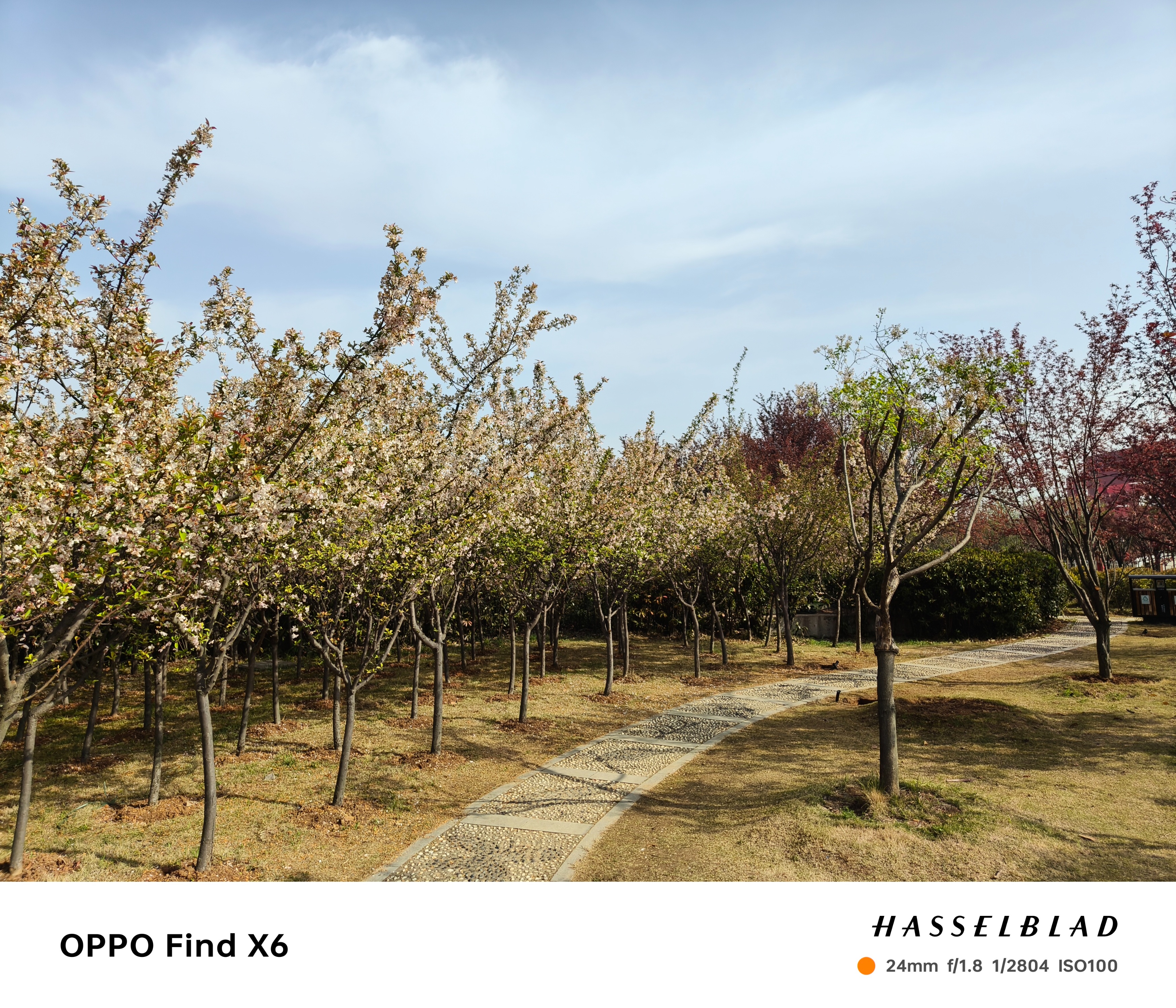 oppofindx6评测长焦,OPPOFindX6Pro120倍长焦测评