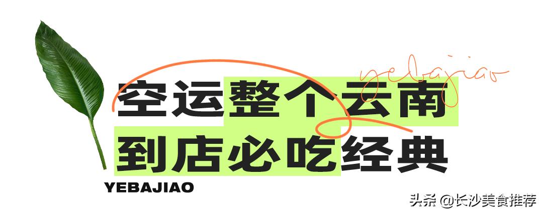空运整座“小云南”，叶芭蕉春夏限定上新啦