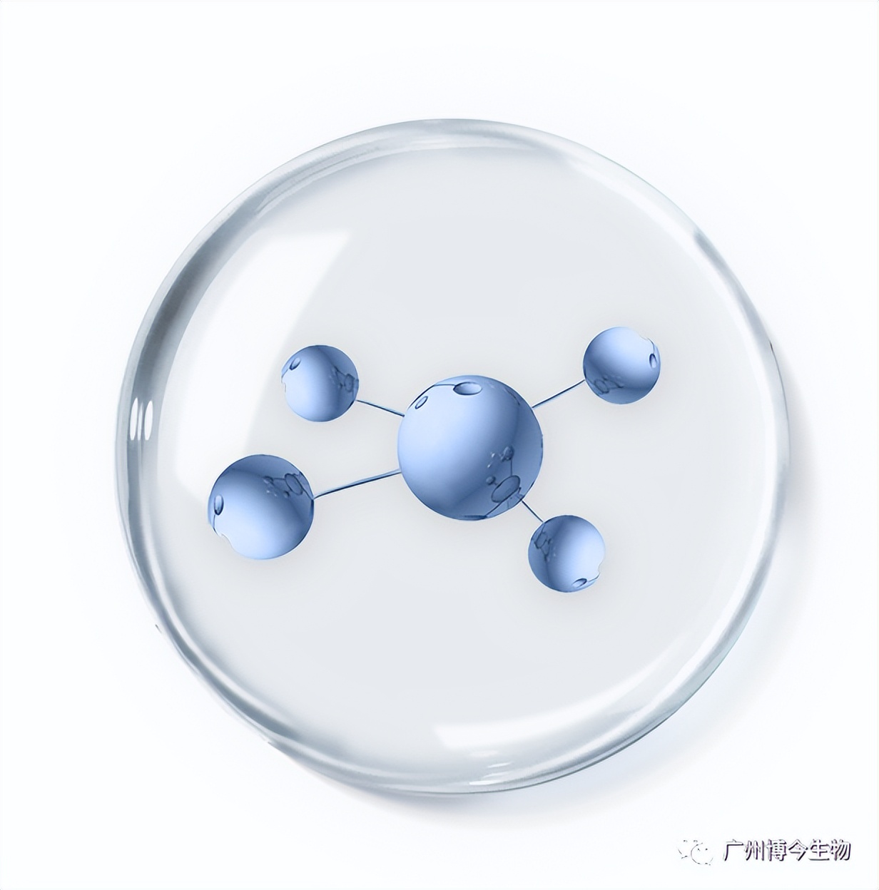 大数据请把这篇文章推给有“黑头”烦恼的人