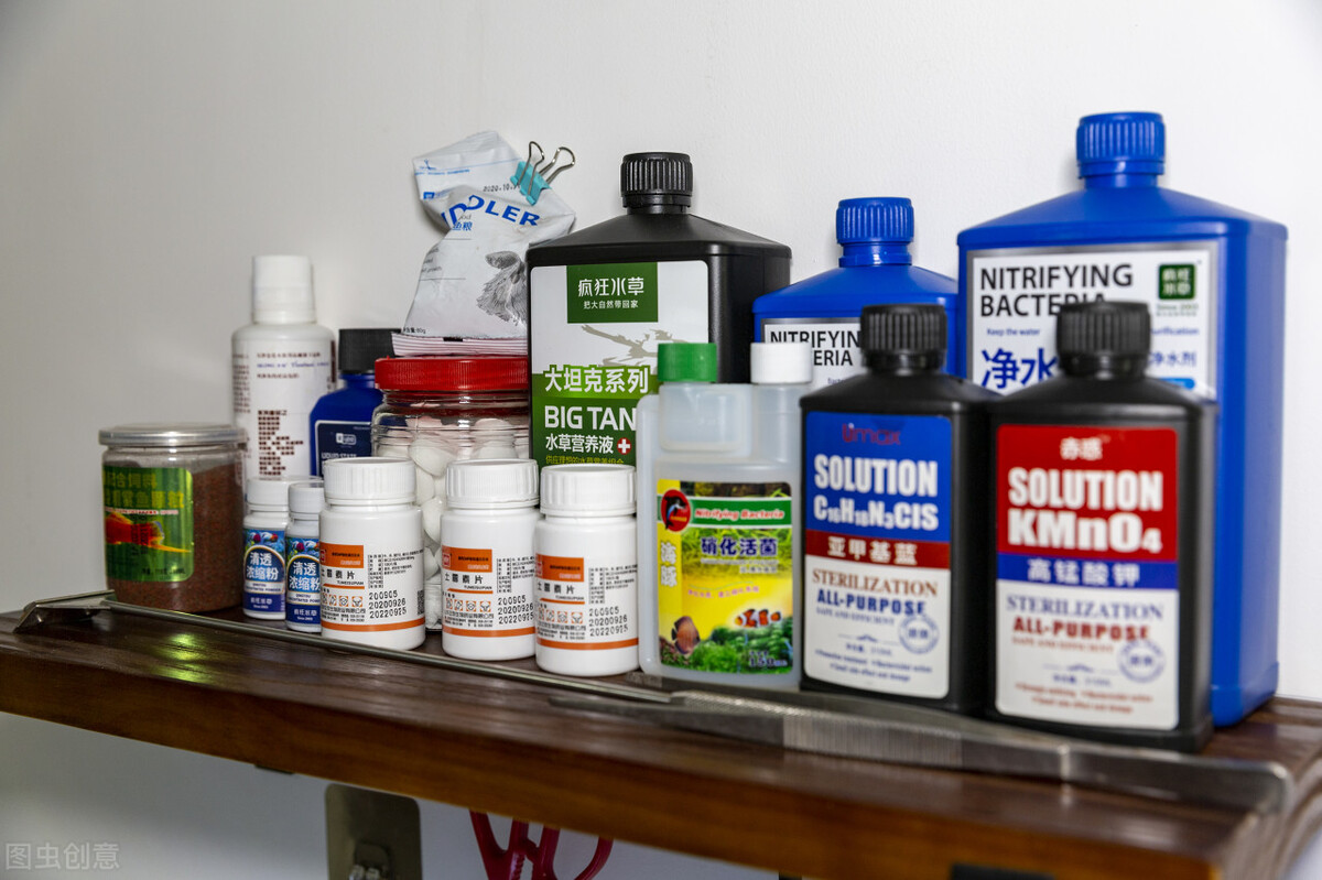 养鱼先养水是什么意思,为什么养鱼先养水