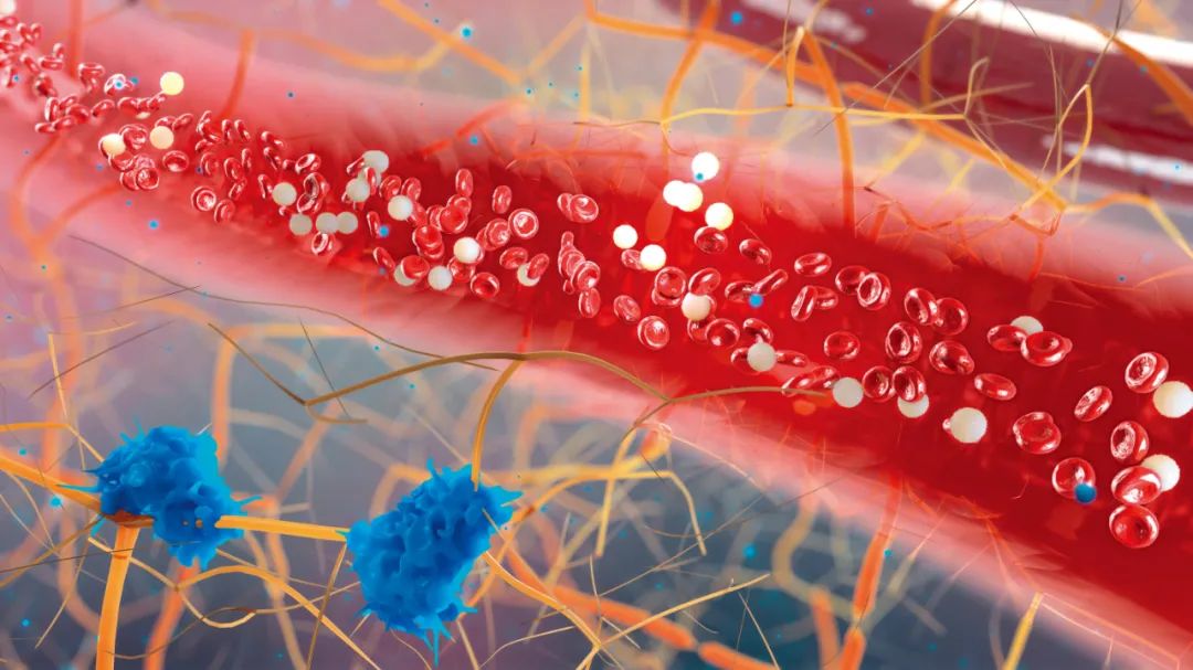 纳米机器人是怎样从血管里出来的,纳米机器人修复血管