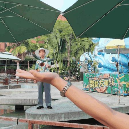 集美最值得去玩和吃的地方,厦门集美值得去的地方推荐