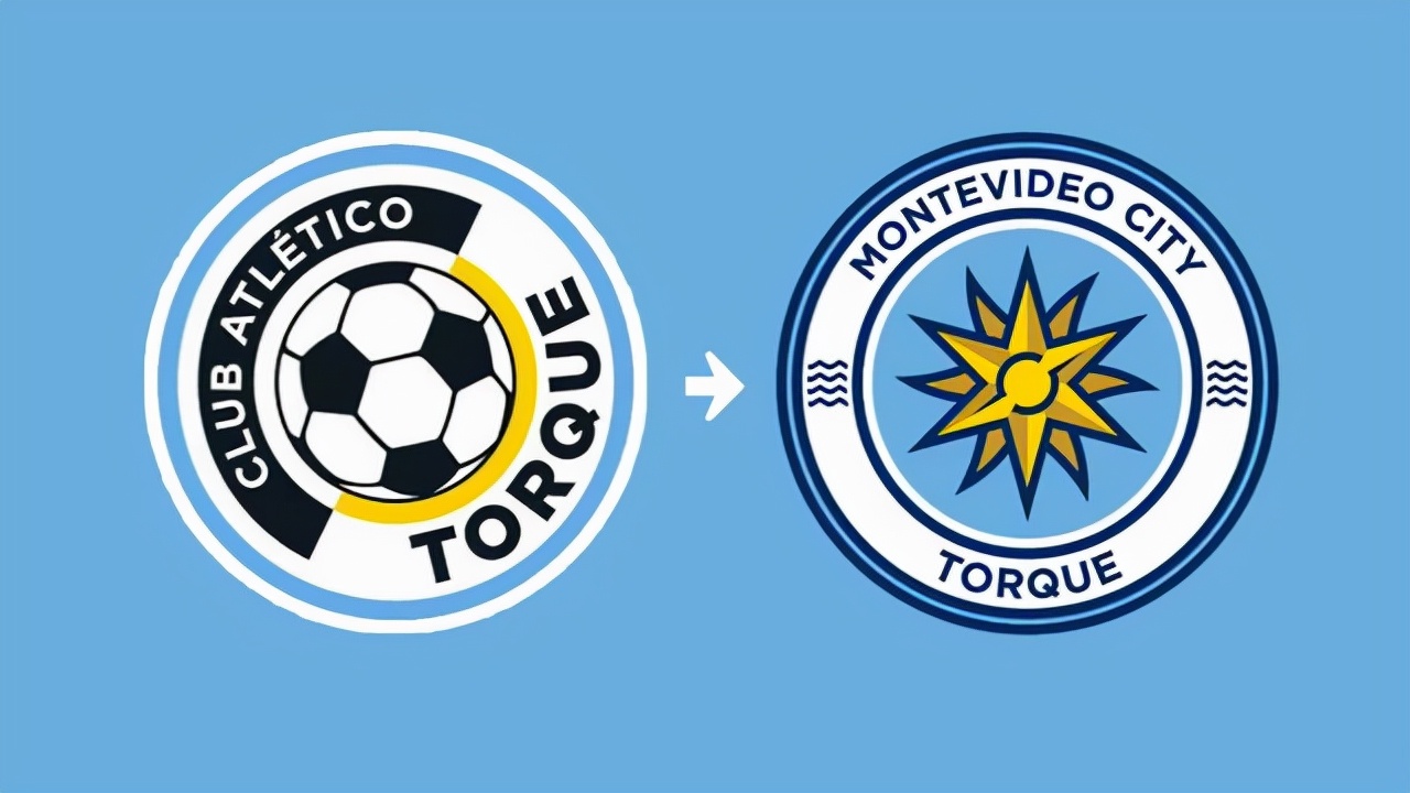 各个国家的都有哪些足球俱乐部,世界十大足球俱乐部及国家