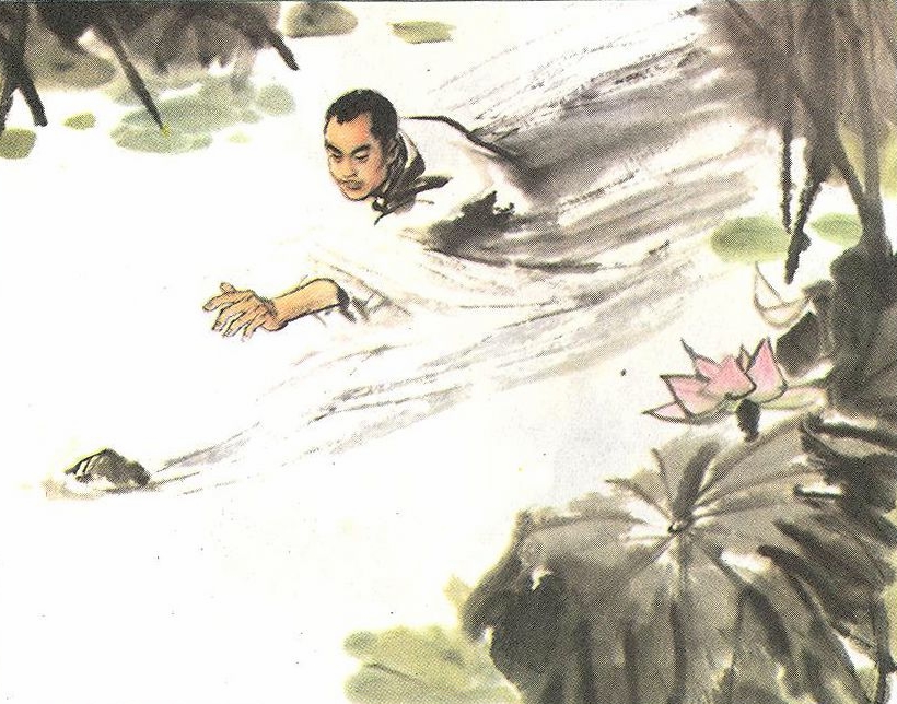 荷花淀中描写景色的句子,读课文荷花淀有感