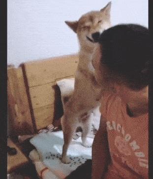 给女朋友送睡衣推荐,给女朋友送一套睡衣