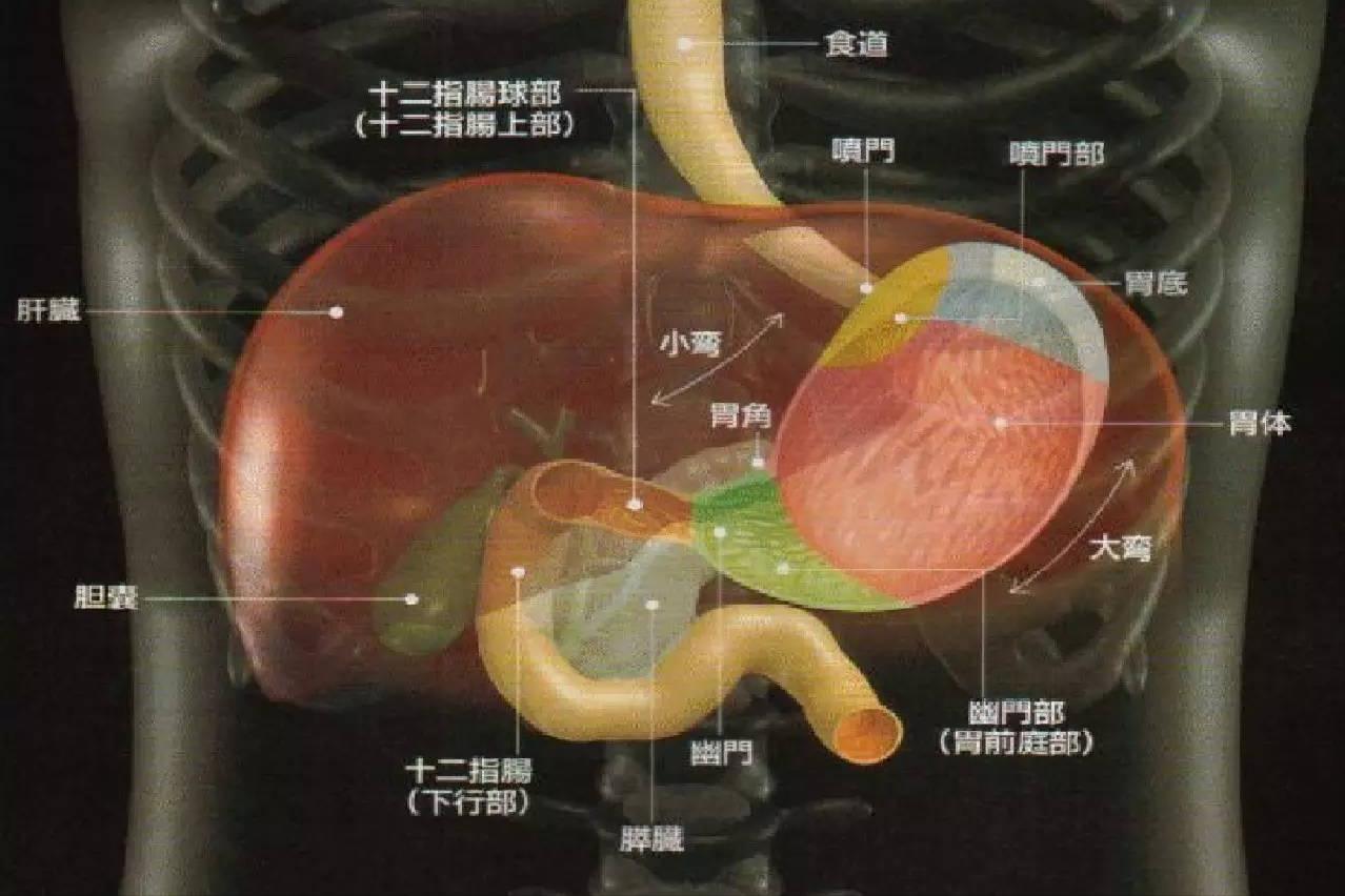 胰十二指肠切除的并发症,胰十二指肠切除术后胰瘘多久能好