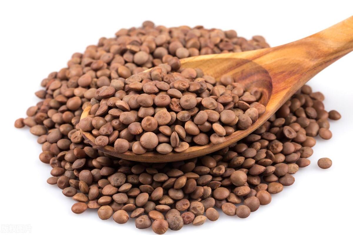 女孩被继父长期虐待,蛋白质摄入不足,哪些食物可以补充蛋白质?