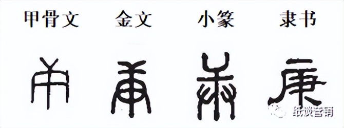 十天干象意详解,十天干冲合口诀