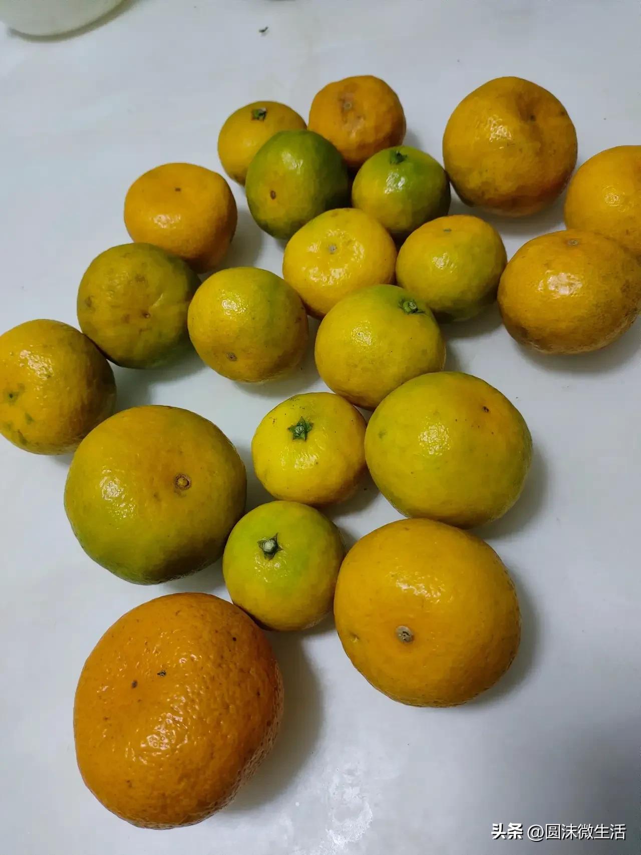 美团优选属于低价扰乱市场物价吗,低价劣质产品最终伤害了谁