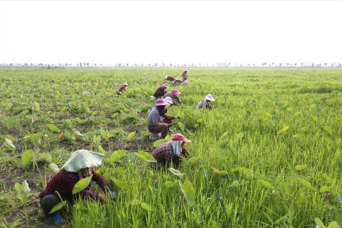 “今日开天门，财宝进家门”，分享一道“补运菜”，寓意降福降贵