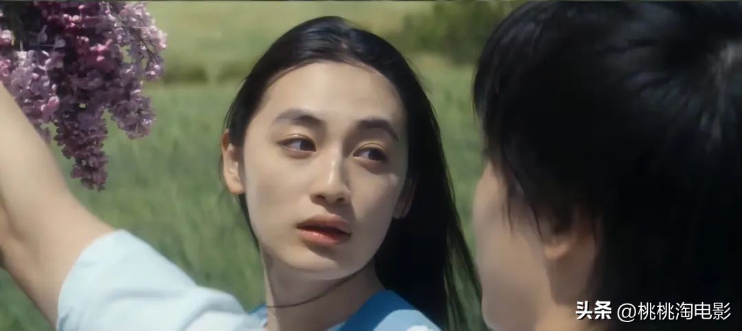 网红剧都有什么,19年的网红剧