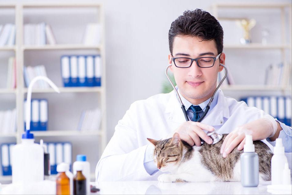 脑供血不足什么反应请专家回答,6个症状提示脑供血不足医生提醒