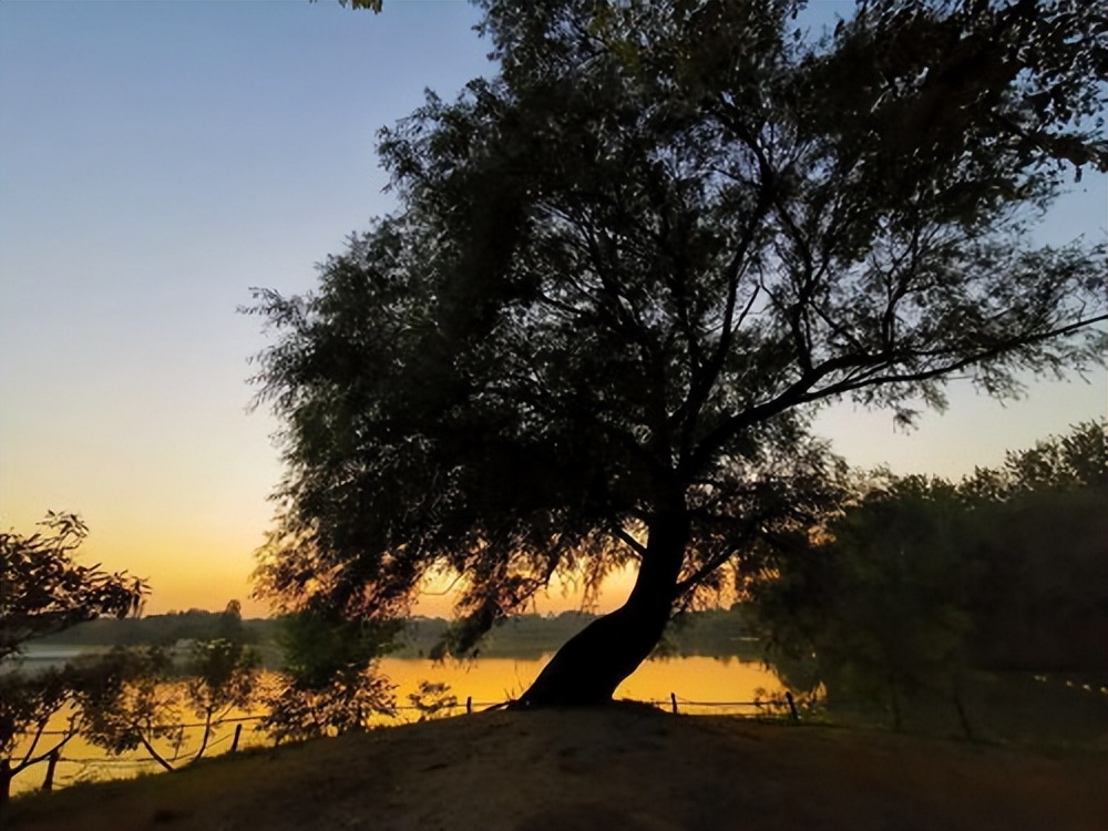 来自塔里木《塔河文苑》诗歌:北方南方冬天之猜想