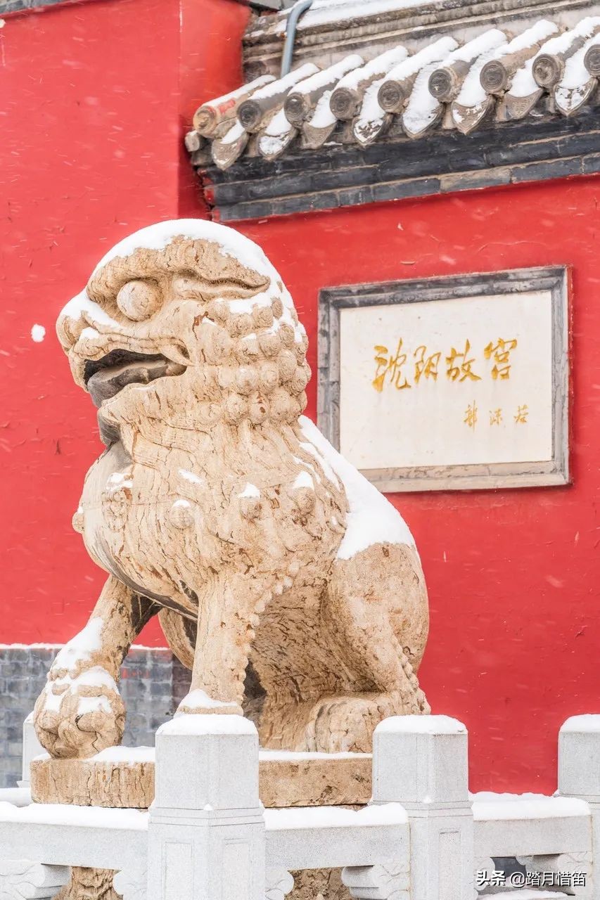 东北沈阳疫情最新通报,东北沈阳疫情