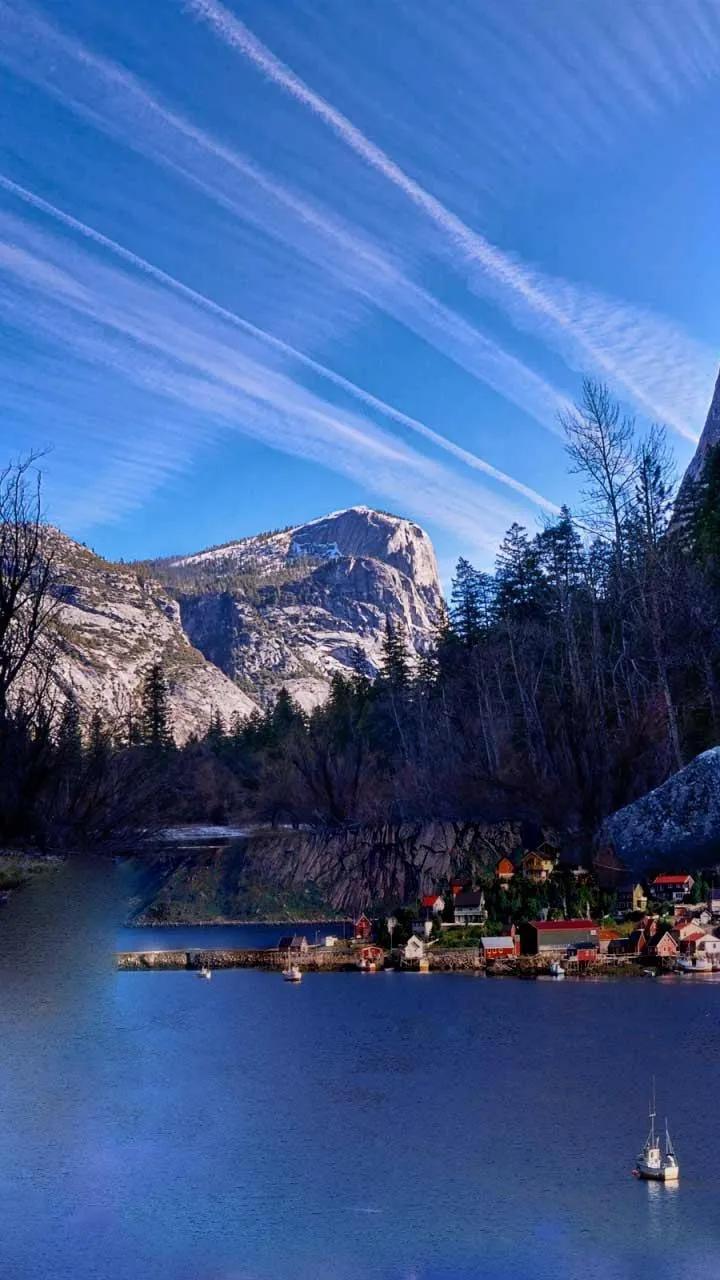 真实大自然风景图片手机壁纸,花草树木壁纸高清风景图片